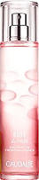 Caudalie Eau Fraiche Rose de vigne Spray 50 ml