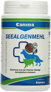 Allpharm SEEALGENMEHL für Hunde und Katzen 250 g
