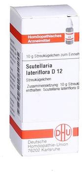 DHU-ARZNEIMITTEL Scutellaria lateriflora D12