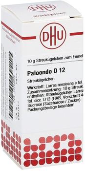 DHU-ARZNEIMITTEL Paloondo D12