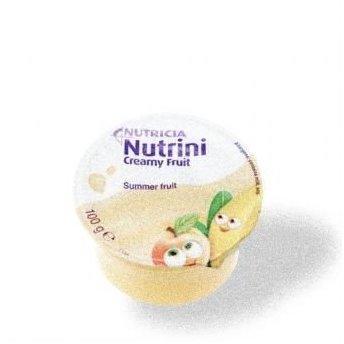 Nutricia Nutrini Creamy Fruit Sommerfrüchte 48x100 g