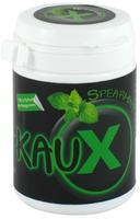 PZN-DE 10260529, Kaux Zahnpflegekaugummi Spearmint mit Xylitol Kaugummi Inhalt:...