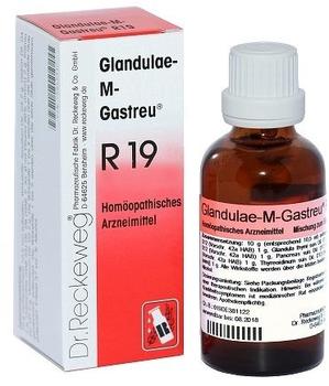 Dr RECKEWEG & Co GmbH Glandulae-M-Gastreu R19
