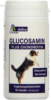 Avitale Glucosamin Chondroitin Kapseln (60 Stk.)