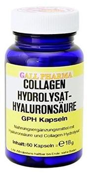 Hecht Pharma Hyaluronsäure-Collagen Hydrolysat GPH Kapseln (60 Stk.)