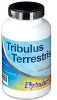 Tribulus Terrestris 1200 mg Kapseln 120 St