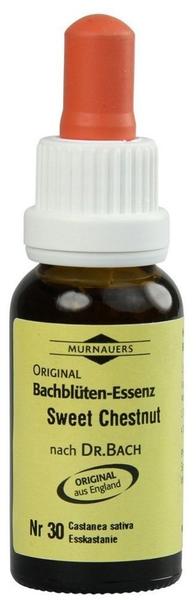Murnauers Bachblüten Tropfen Sweet Chestnut (20 ml)
