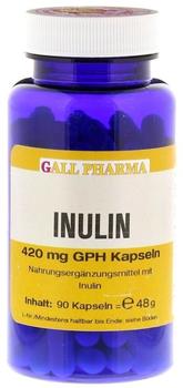 Hecht Pharma Inulin 420 mg GPH Kapseln (90 Stk.)