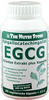 PZN-DE 07590200, Hirundo Products EGCG 100 mg Grüntee Extrakt plus Kapseln 111 g,
