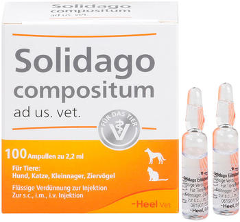Heel Solidago Compositum ad us. vet. Ampullen 100 Stück