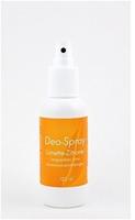 Allcura Deo Spray Limette Langzeitdeo ohne Aluminiumverbindungen 125ml