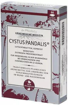 Cystus Pandalis (66 Stk.)