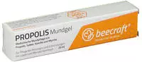 PZN-DE 15024319, Hansa Naturheilmittel Beecraft Propolis Mundgel (20 ml),...