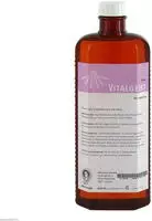 AFRA Vitalgeist Einreibung 500 ml