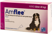 Amflee 402 mg Spot-on Lsg.f.sehr gr.Hunde 40-60kg 3 St