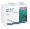 PZN-DE 11316315, INTERCELL-Pharma Adrenal-Intercell Kapseln, 120 St, Grundpreis: