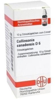 DHU Collinsonia Canadensis D 6 Globuli (10 g)