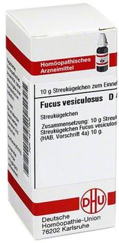 DHU Fucus Vesiculosus D 4 Globuli (10 g)
