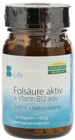 PZN-DE 11052075, Heidelberger Chlorella Fols&auml;ure Aktiv plus Vitamin B12 aktiv