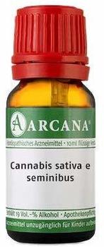 Arcana CANNABIS SATIVA e seminibus LM 18 Dilution 10 Milliliter