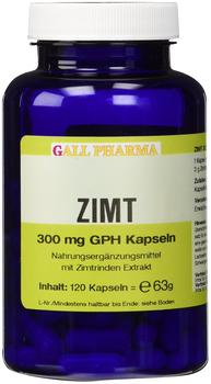 Hecht Pharma ZIMT 300 mg GPH Kapseln