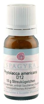 Spagyra GmbH & Co KG Phytolacca americana D12