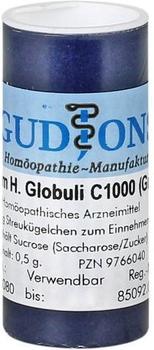Gudjons GmbH CAUSTICUM HAHNEMANNI C 1000 Gr.6 Globuli