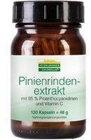 Pinienrindenextrakt Kapseln 120 St