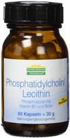 Phosphatidylcholin/lecithin Phospholipid 60 St