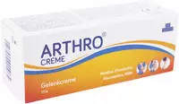 ICE Power Arthro Creme 120 g