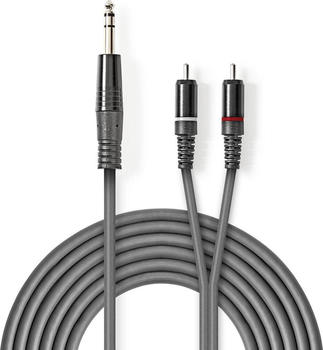 Nedis Audiokabel Stereo 6.35 mm Male - 2X RCA Male (3 m), Audio Kabel
