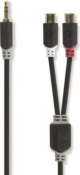 Nedis Audiokabel Stereo Mach oder 3,5 mm - 2 x RCA Hemb (0.20 m), Audio Kabel