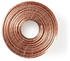 Nedis Lautsprecherkabel 2x 6.00 mm² CCA 100.0 m rund PVC Transparent - Verlänge (100 m, 6 mm²), Lautsprecherkabel, Transparent
