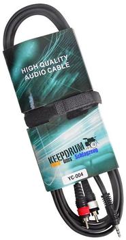 Keepdrum YC004 Adapterkabel Cinch RCA 3,5mm Klinke 3m Audio-Adapter Cinch LR Stecker mit Abknickschutz