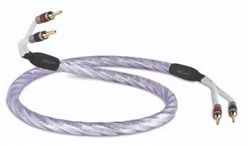 QED Signature Genesis Silver Spiral (ZKA-6082502)