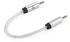 iFi Audio 4,4mm symmetrisches Kabel Stecker auf Stecker 4.4 mm zu 4.4 mm (4.4mmCable)