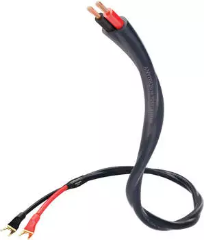 in-akustik S25 Speaker 415 Banana SW