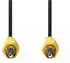Nedis Composite-Videokabel RCA RCA Vernickelt 480p 5.00 m Rund PVC Schwarz Label (CVGL24100BK50)