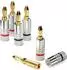conecto Bananenstecker 4er-Set für Lautsprecherkabel bis 6mm² 24k vergoldete Stecker (SA-CC50861)