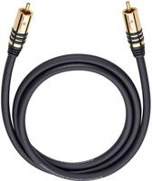 Cinch Audio Anschlusskabel [1x Cinch-Stecker - 1x Cinch-Stecker] 10.00 m Schwarz