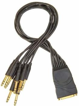Planet Waves PW-TRSB-01 Modular Snake System BreakOut Kabel DB25 Female - TRS schwarz