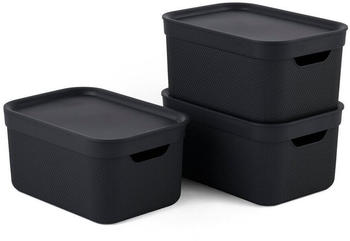 Rotho Jive 26x18x13cm 5L 3 Stk. holzkohle-schwarz