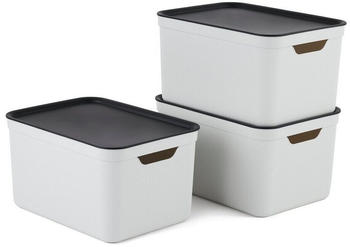 Rotho Jive 26x18x13cm 16L 3 Stk. mistelzweig-wei&szlig;