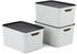 Rotho Jive 26x18x13cm 16L 3 Stk. mistelzweig-weiß