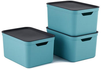 Rotho Jive 26x18x13cm 16L 3 Stk. himmelblau
