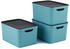 Rotho Jive 26x18x13cm 16L 3 Stk.