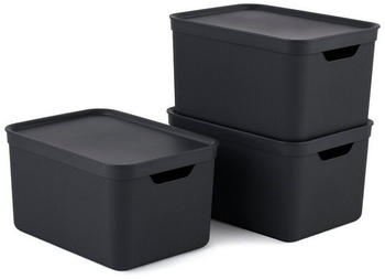 Rotho Jive 26x18x13cm 16L 3 Stk. holzkohle-schwarz