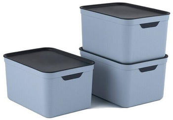 Rotho Jive 26x18x13cm 16L 3 Stk. nebelblau