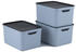 Rotho Jive 26x18x13cm 16L 3 Stk.