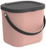 Rotho ALBULA 23,5x20x20,8cm 6L